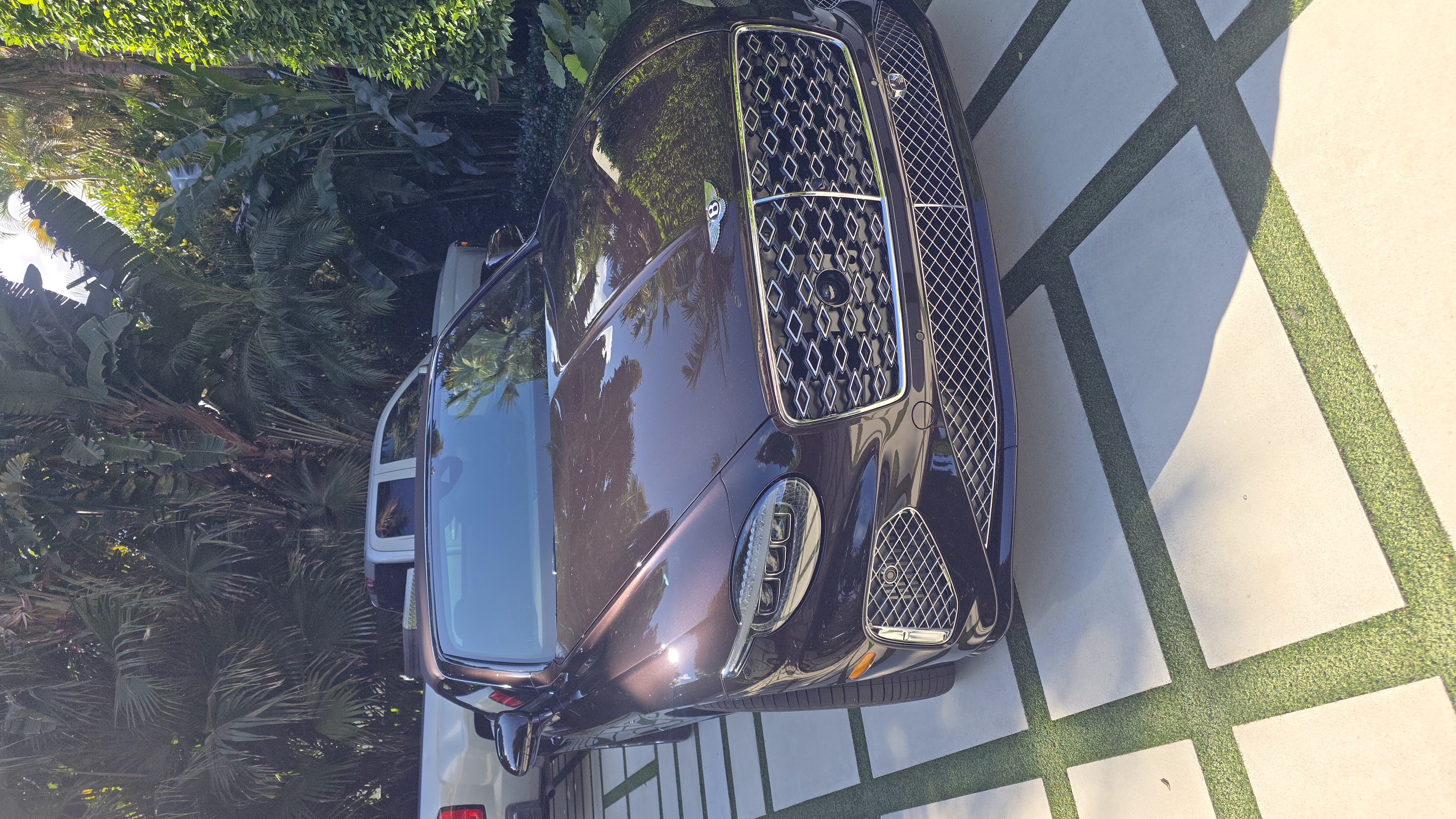 Bentley Continental Ceramic Coating